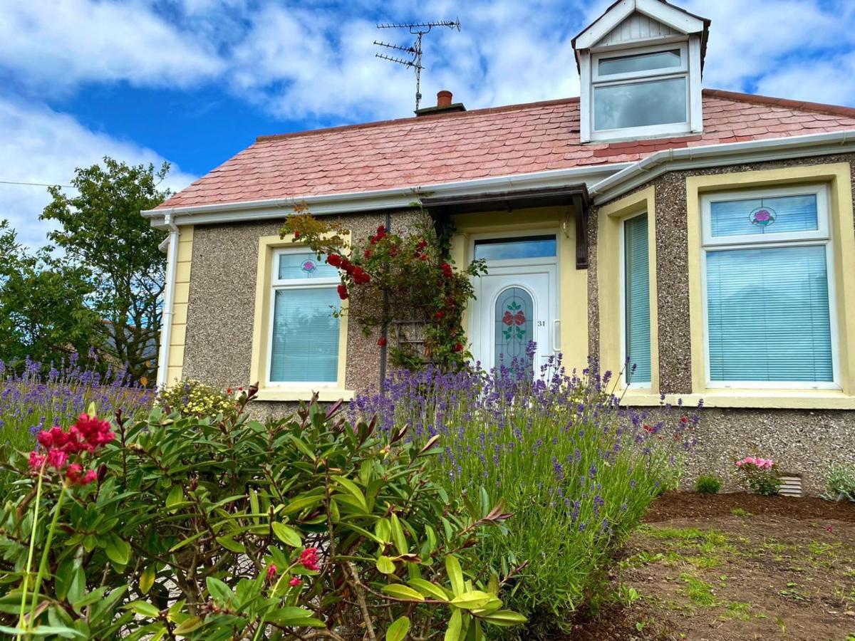 Rose Cottage: Delightful 4 Bedroom Detached Home Portrush Extérieur photo